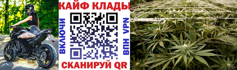Где купить наркоту Междуреченск мега ONION  APVP  ГАШИШ  Канабис  Меф мяу мяу  КОКАИН 