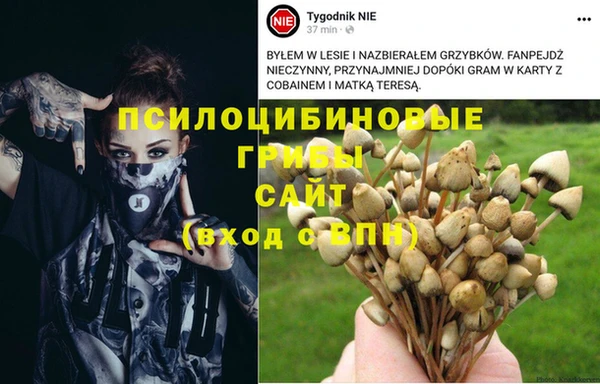 ПСИЛОЦИБИНОВЫЕ ГРИБЫ Алзамай