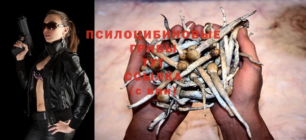 ПСИЛОЦИБИНОВЫЕ ГРИБЫ Алзамай