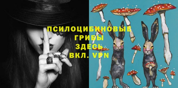 гашик Арсеньев