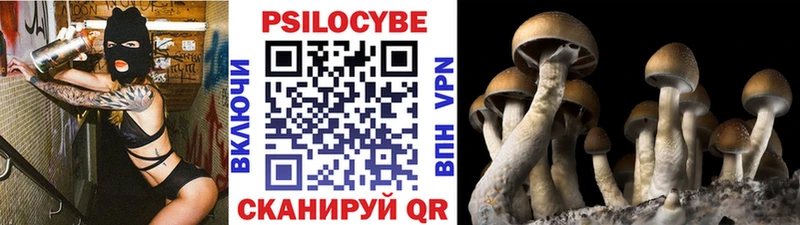 Псилоцибиновые грибы мицелий как найти площадка наркотические препараты Междуреченск